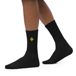 Plane Embroidered socks